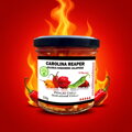 Nakládané chilli Carolina Reaper, Jolokia, Jalapeno 110g