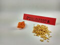 Habanero Yellow semínka 10 ks 
