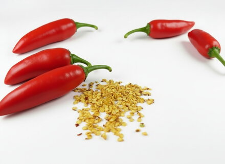 Jalapeno semínka 10 ks 