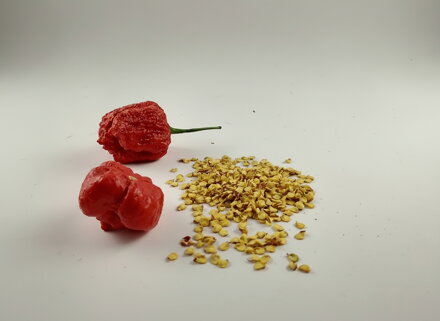 Trinidad Scorpion Red semínka 10 ks 