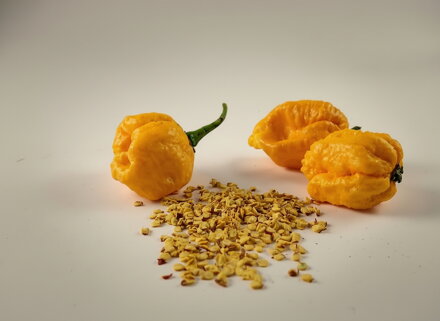 Trinidad Scorpion yellow  semínka 10 ks 