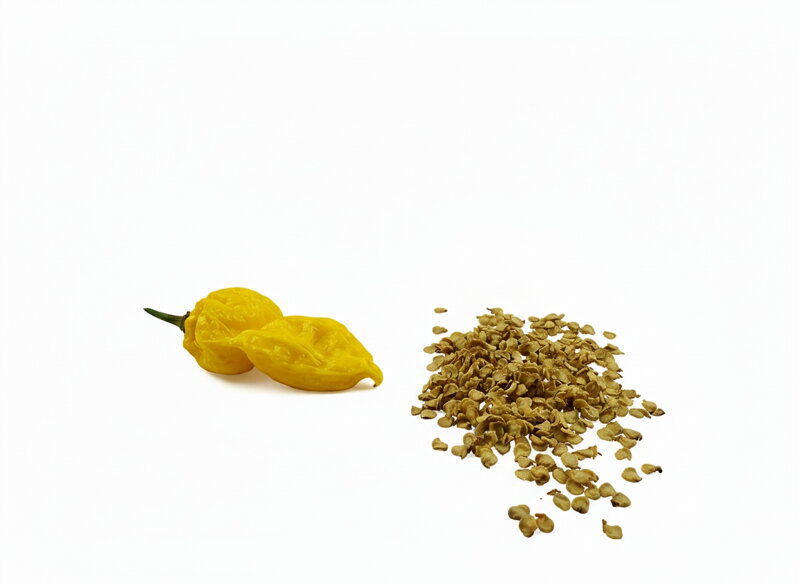 Bhut Yolokia Yellow semínka 10 ks 