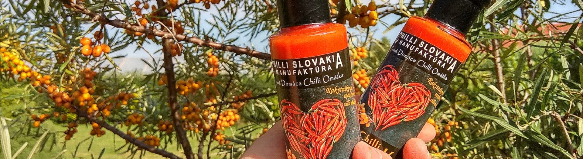 chilli rakytnik